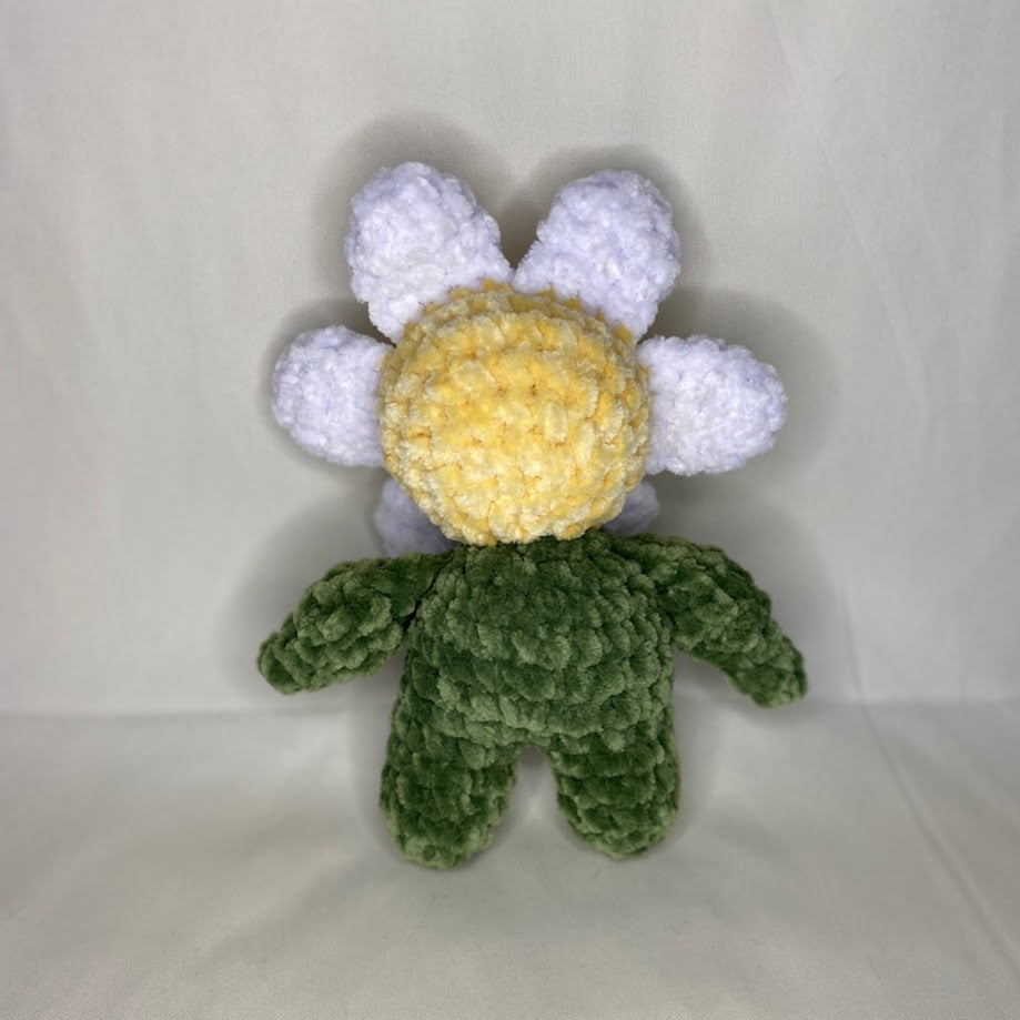 Daisy Flower Friend
