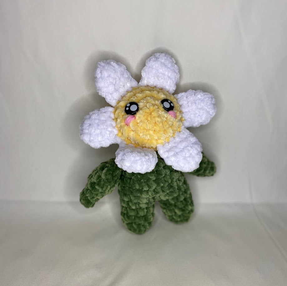 Daisy Flower Friend