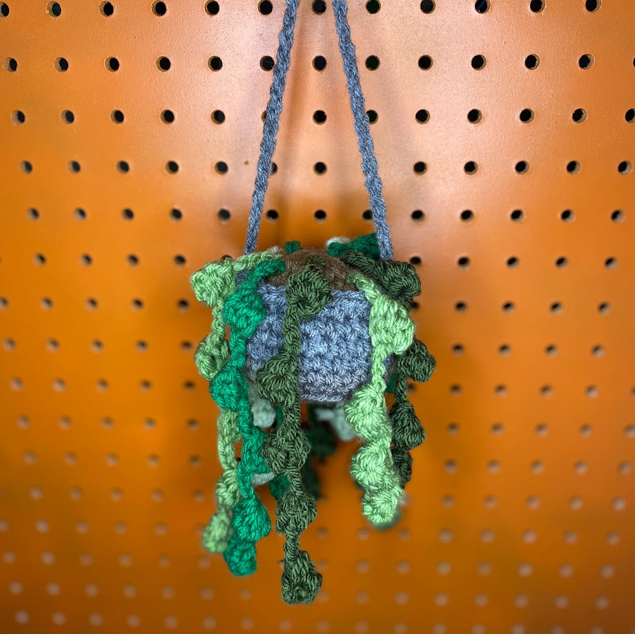 Crochet "String of Pearls" Hanging Plant