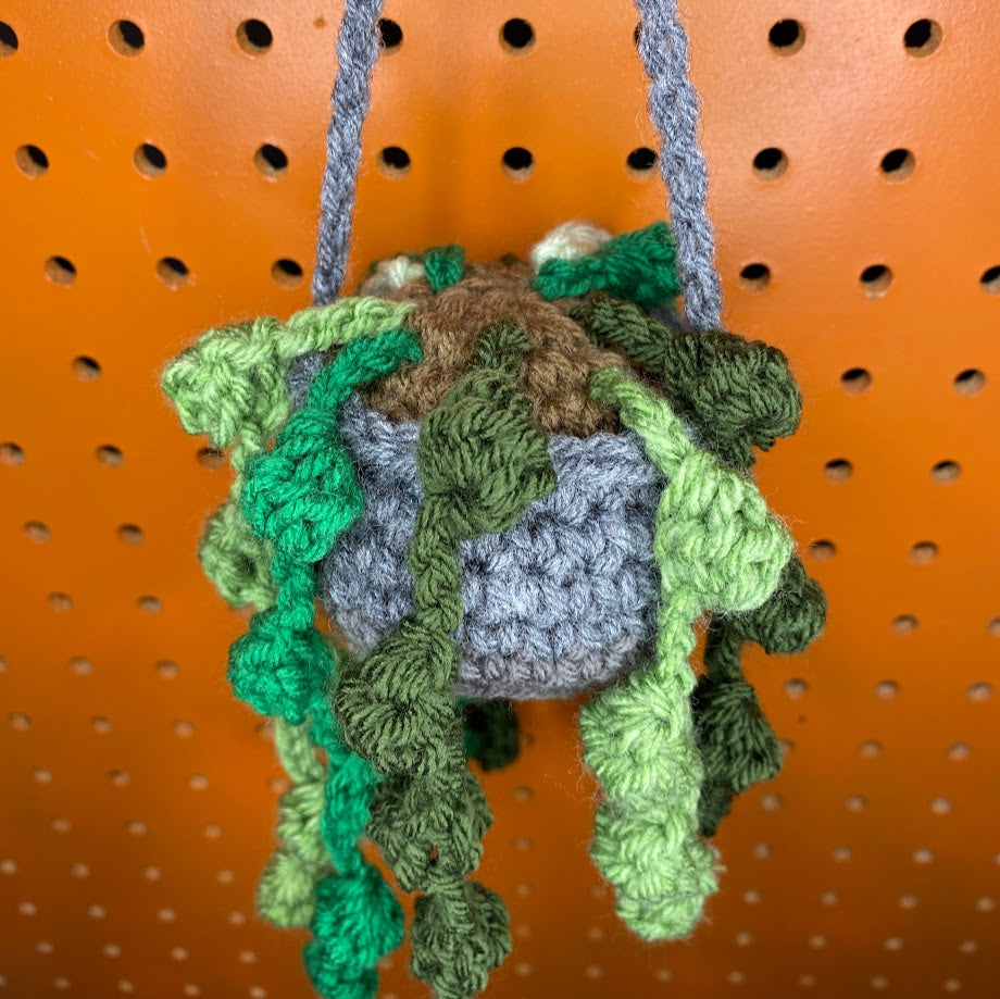 Crochet "String of Pearls" Hanging Plant