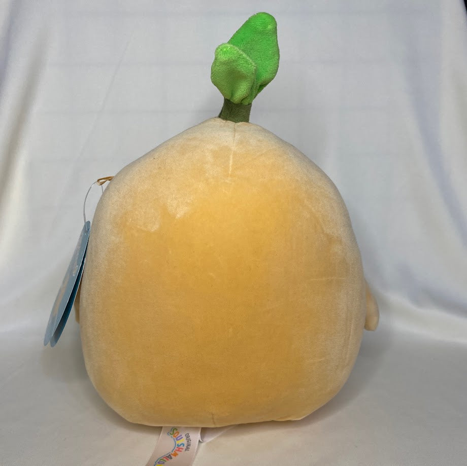 Jyri Ginseng Squishmallow 8" with Tag